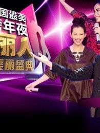 天津卫视2013跨年晚会