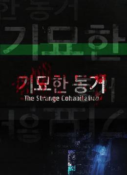 奇妙的同居分集剧情介绍-爱奇艺影视大全