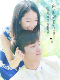 遇见爱情的利先生未删减版