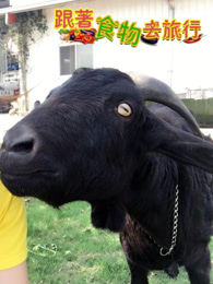 跟着食物去旅行